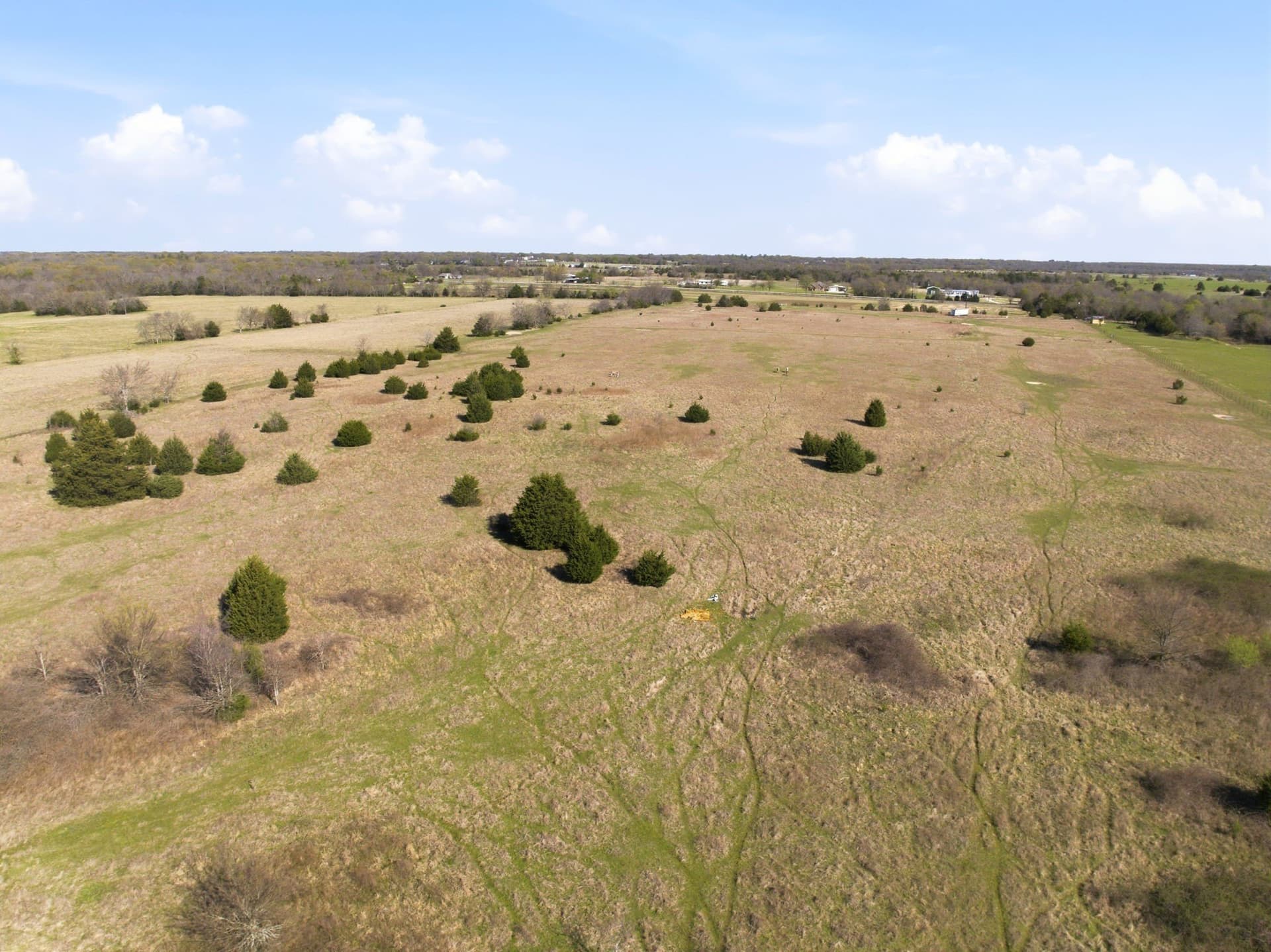 40 acres in Hunt County featured view