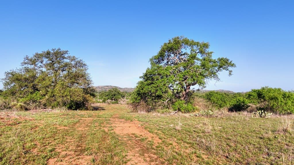 75.9 acres in Llano County - photo 18