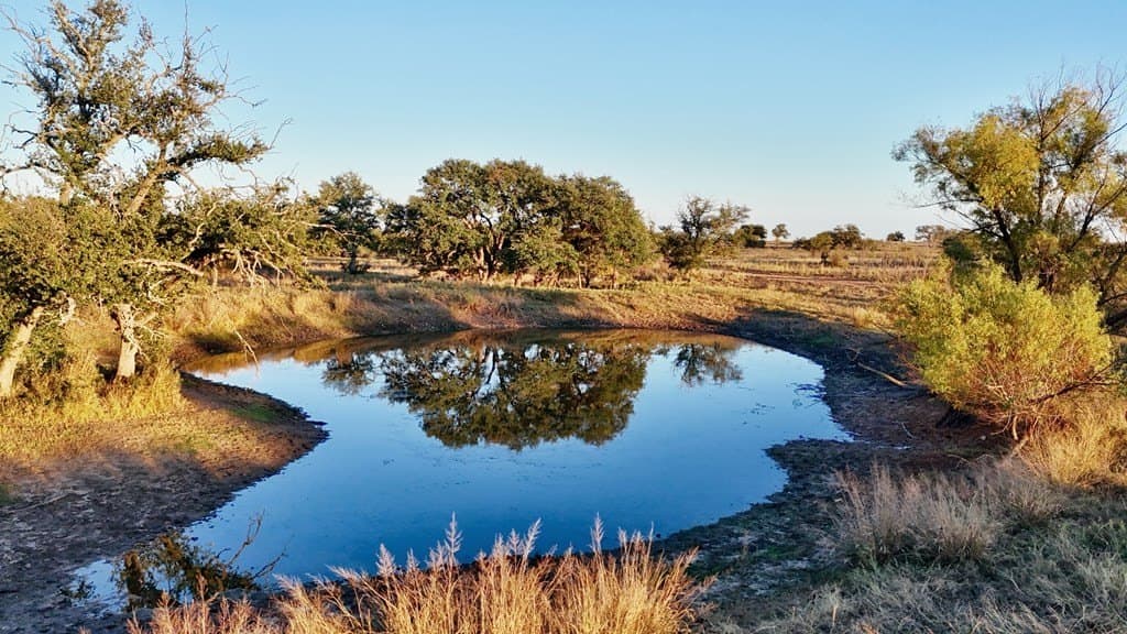 75.9 acres in Llano County - photo 17