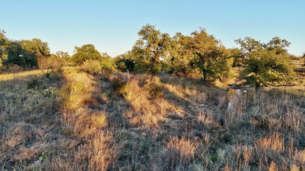 75.9 acres in Llano County - photo 22