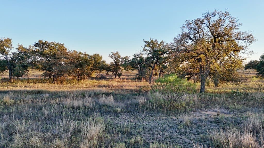 75.9 acres in Llano County - photo 19