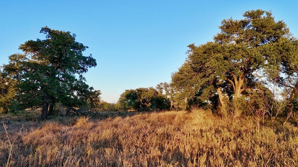 75.9 acres in Llano County - photo 9
