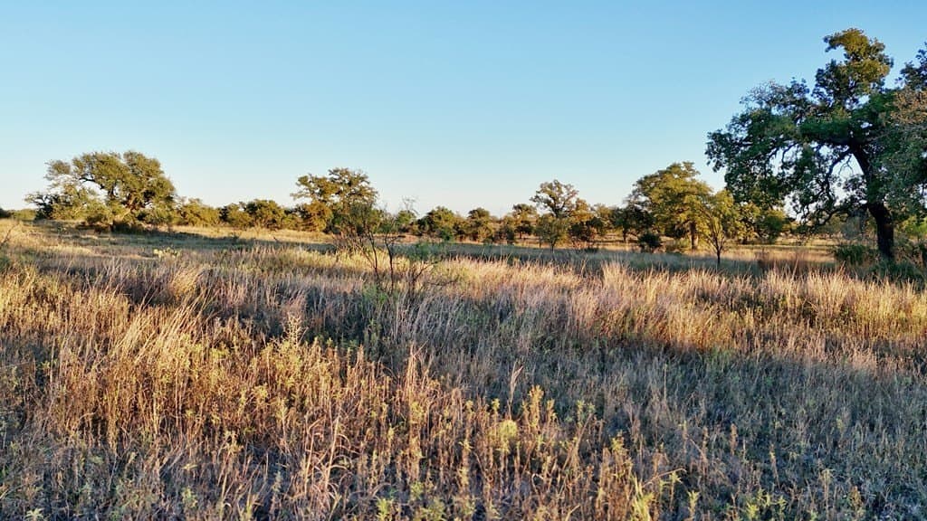 75.9 acres in Llano County - photo 20