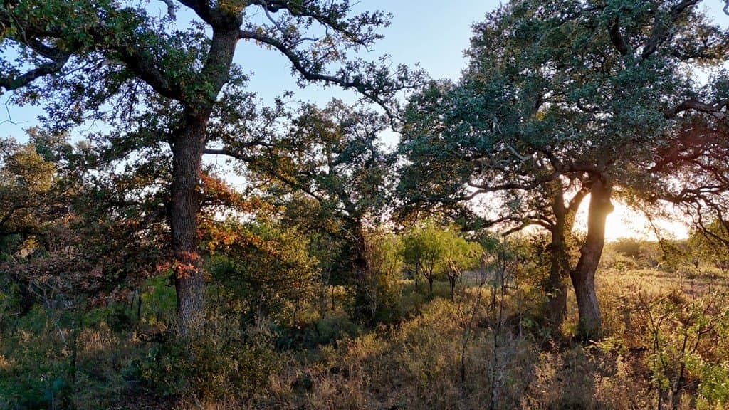 75.9 acres in Llano County - photo 8
