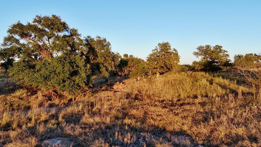 75.9 acres in Llano County - photo 23