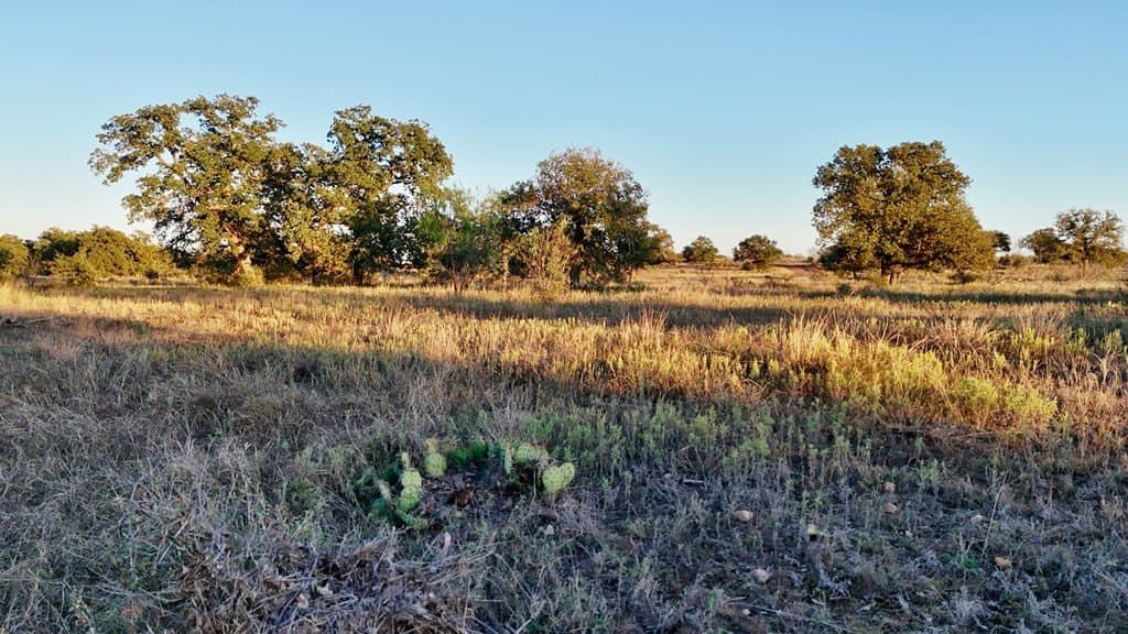 75.9 acres in Llano County - photo 21
