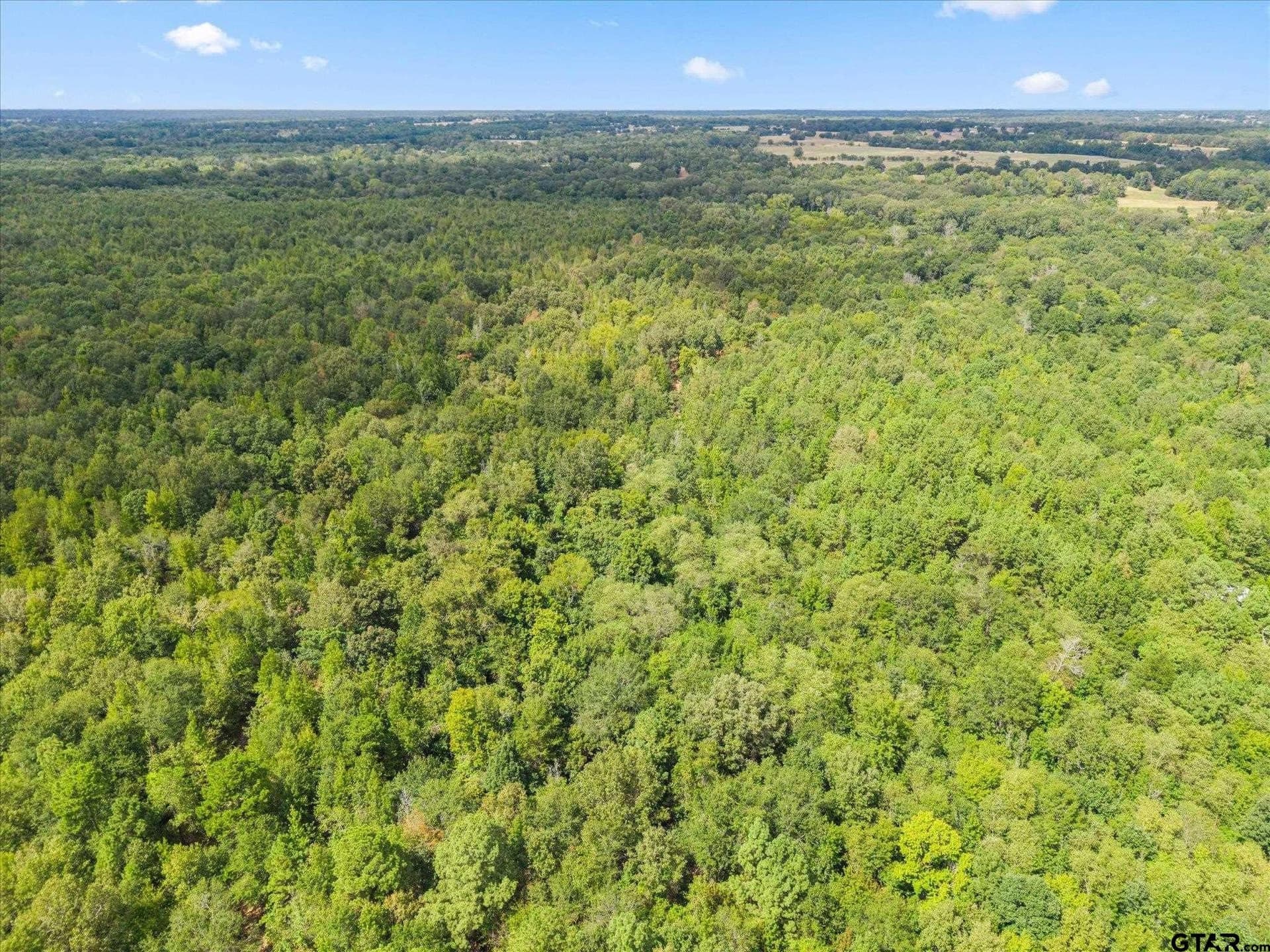 144.04 acres in Morris County - photo 39