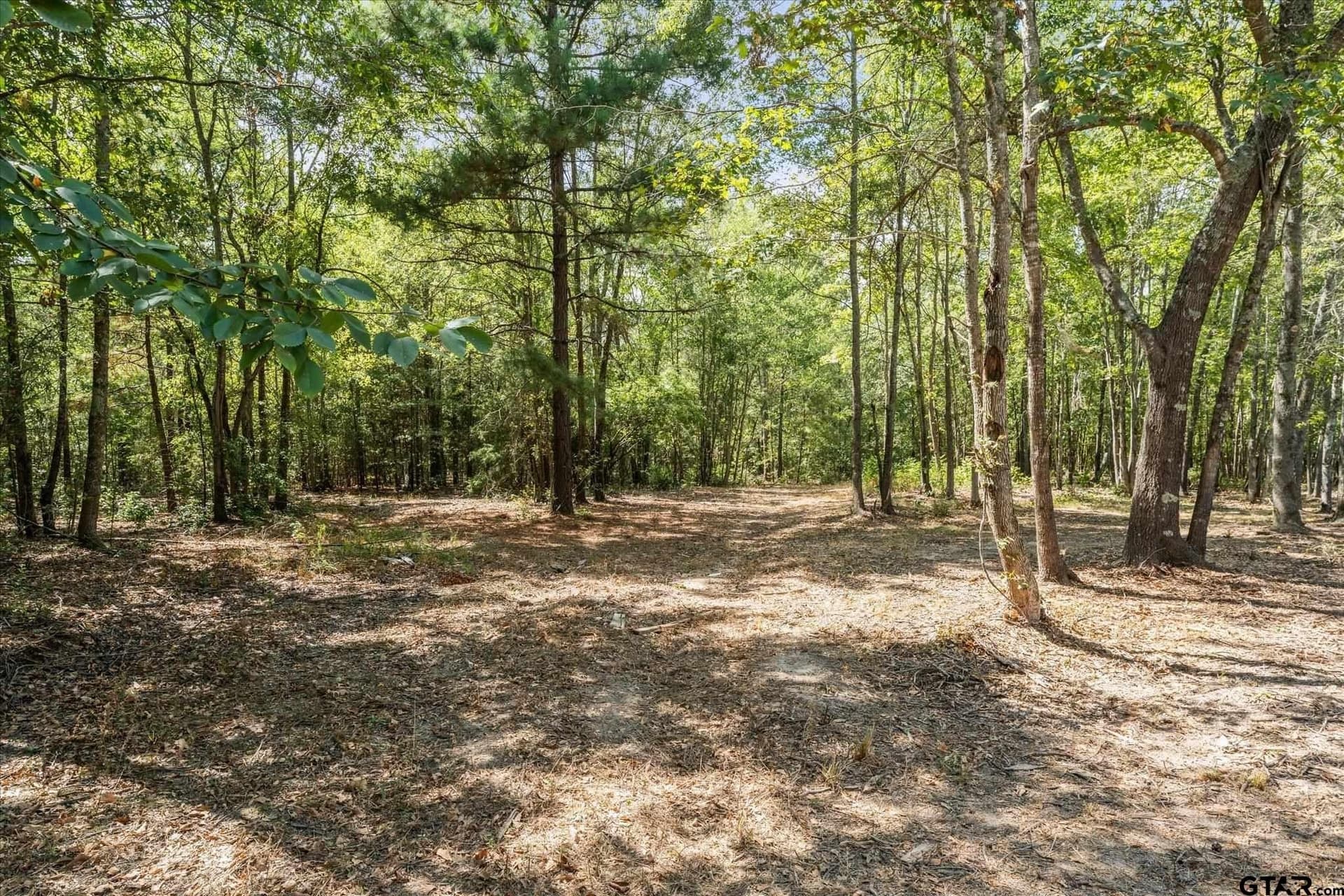 144.04 acres in Morris County - photo 41