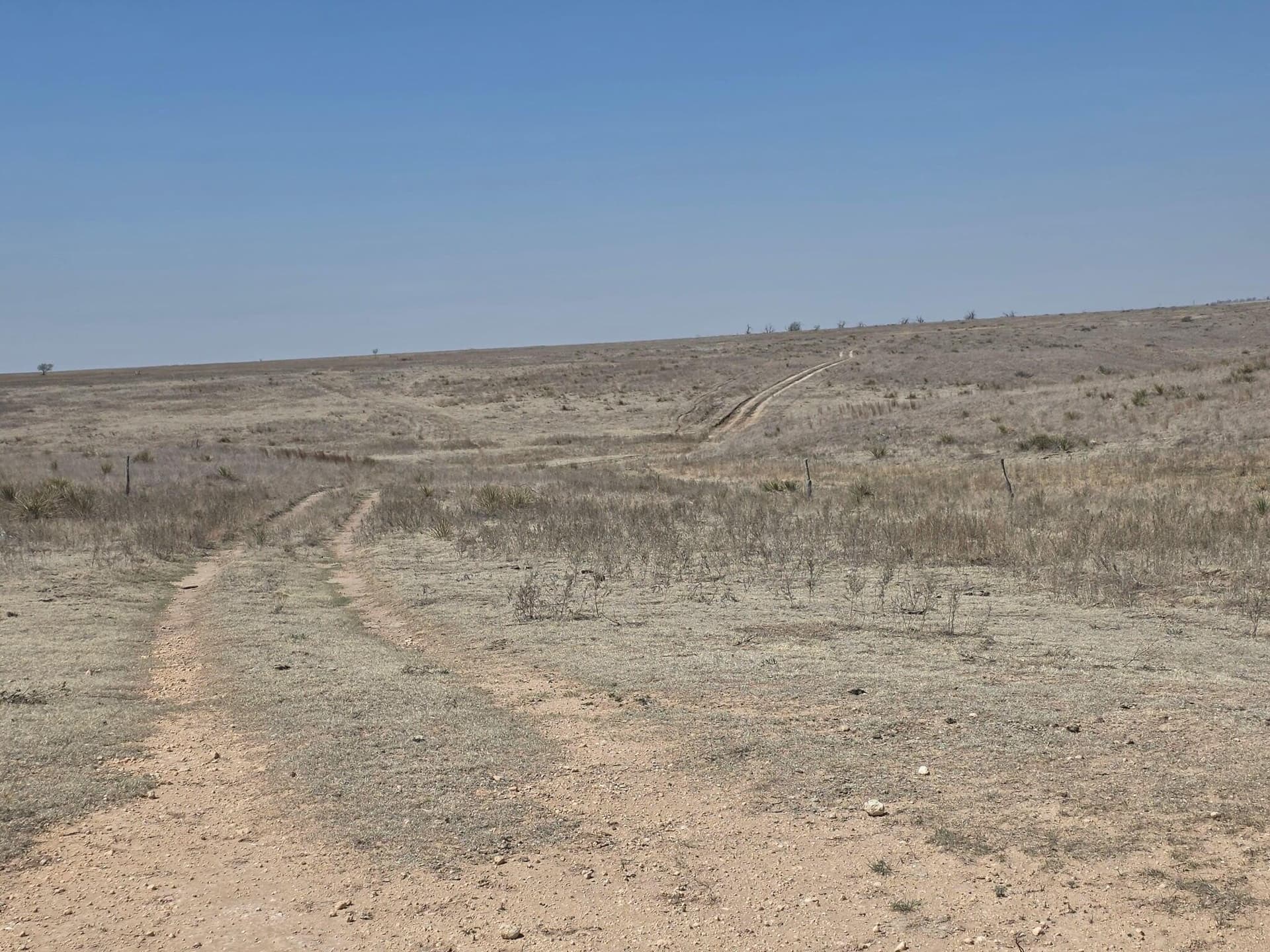 627 acres in Ochlitree County gallery image 2