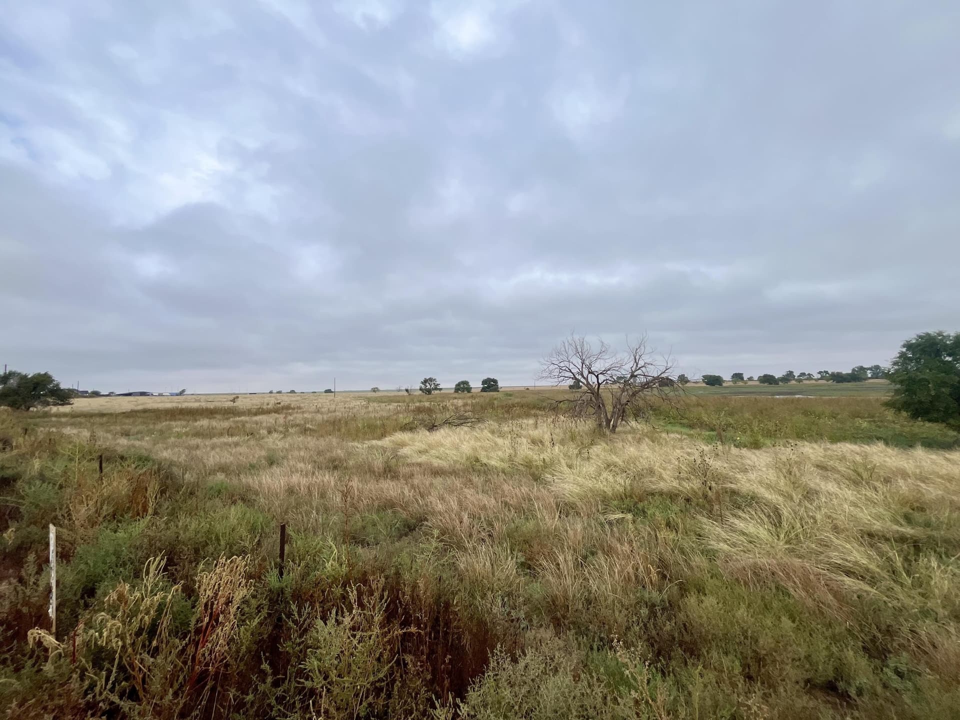 40 acres in Hockley County gallery image 3