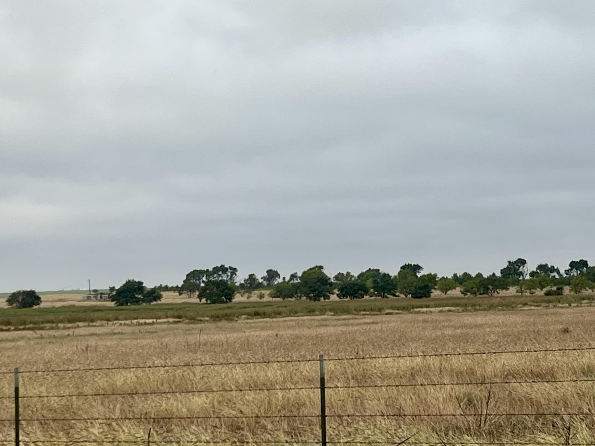 40 acres in Hockley County featured view