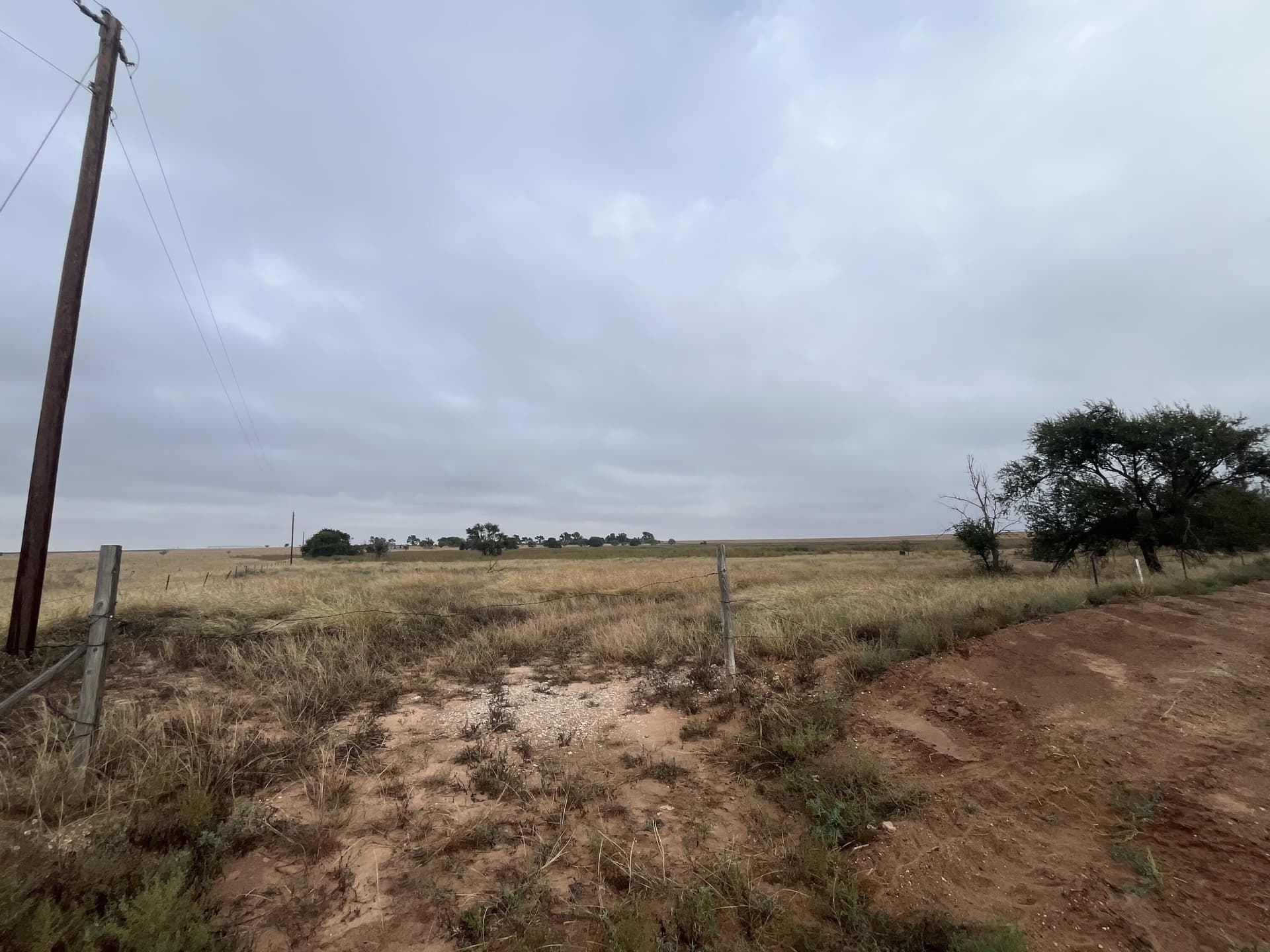 40 acres in Hockley County gallery image 4