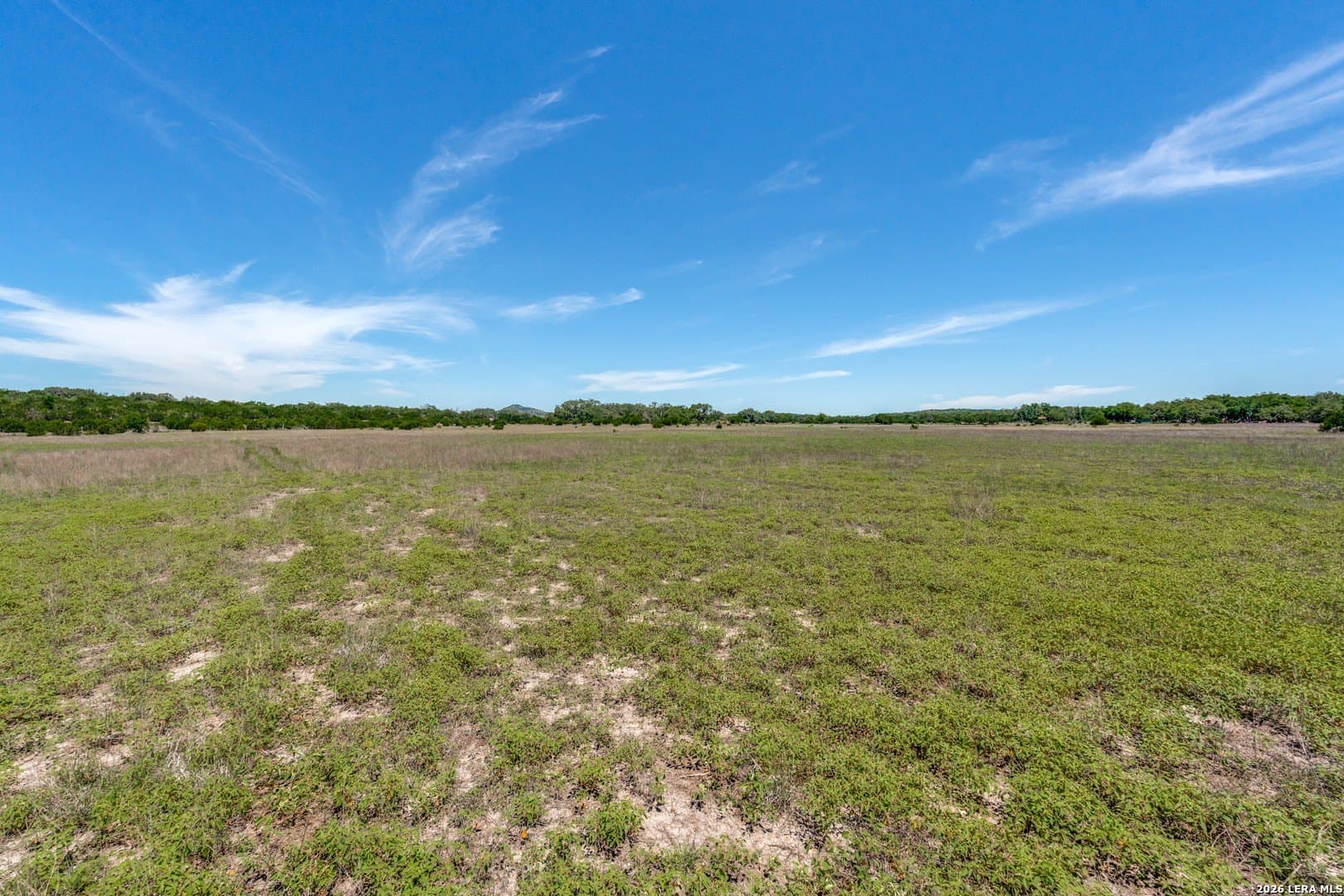 297 acres in Blanco County - photo 10