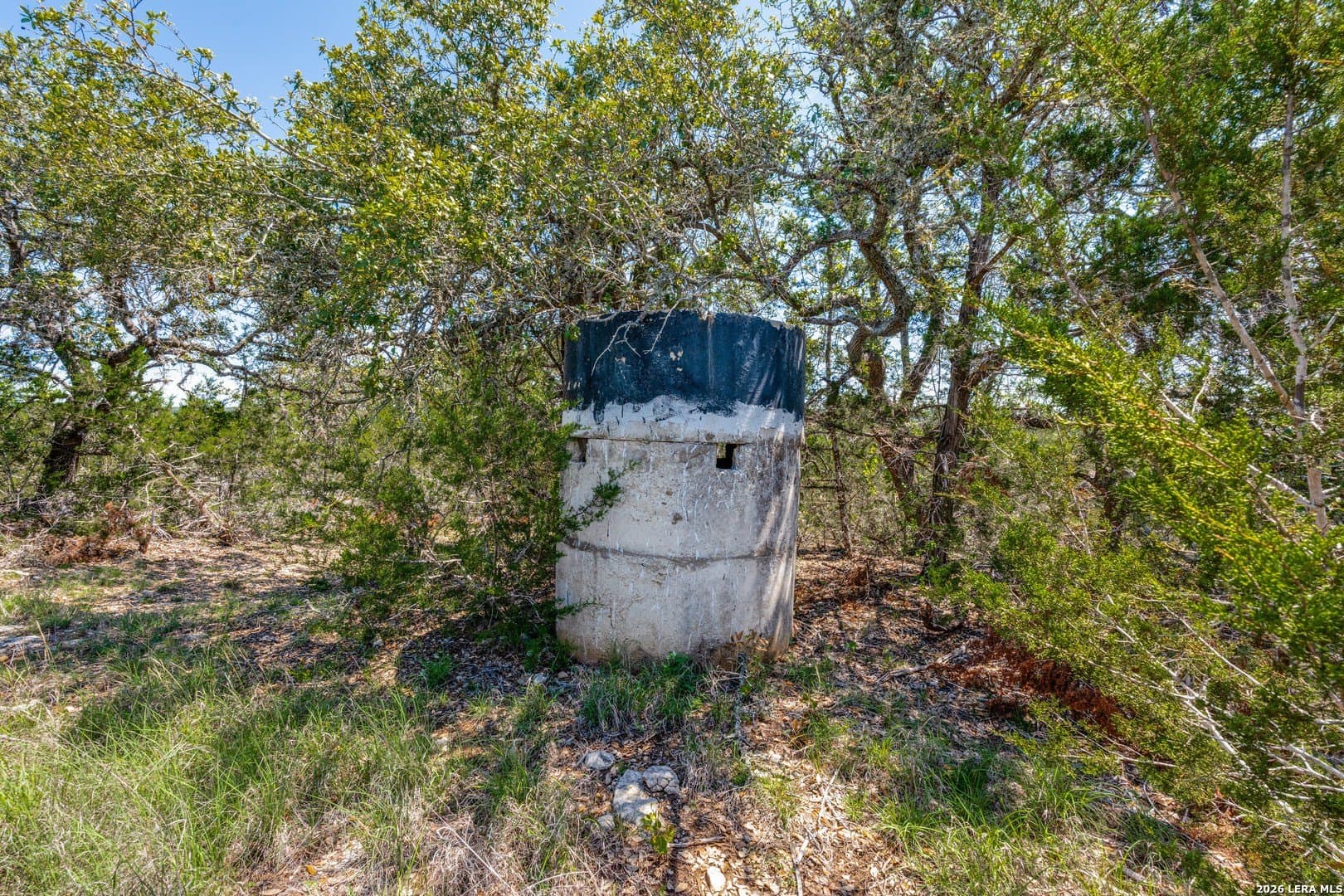 297 acres in Blanco County - photo 9