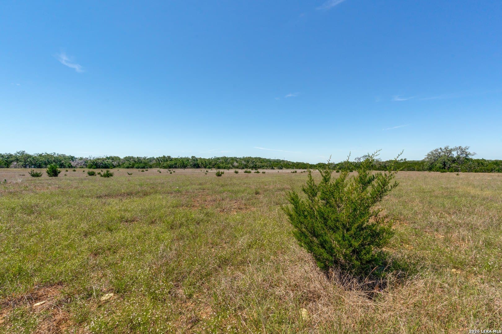 297 acres in Blanco County - photo 2