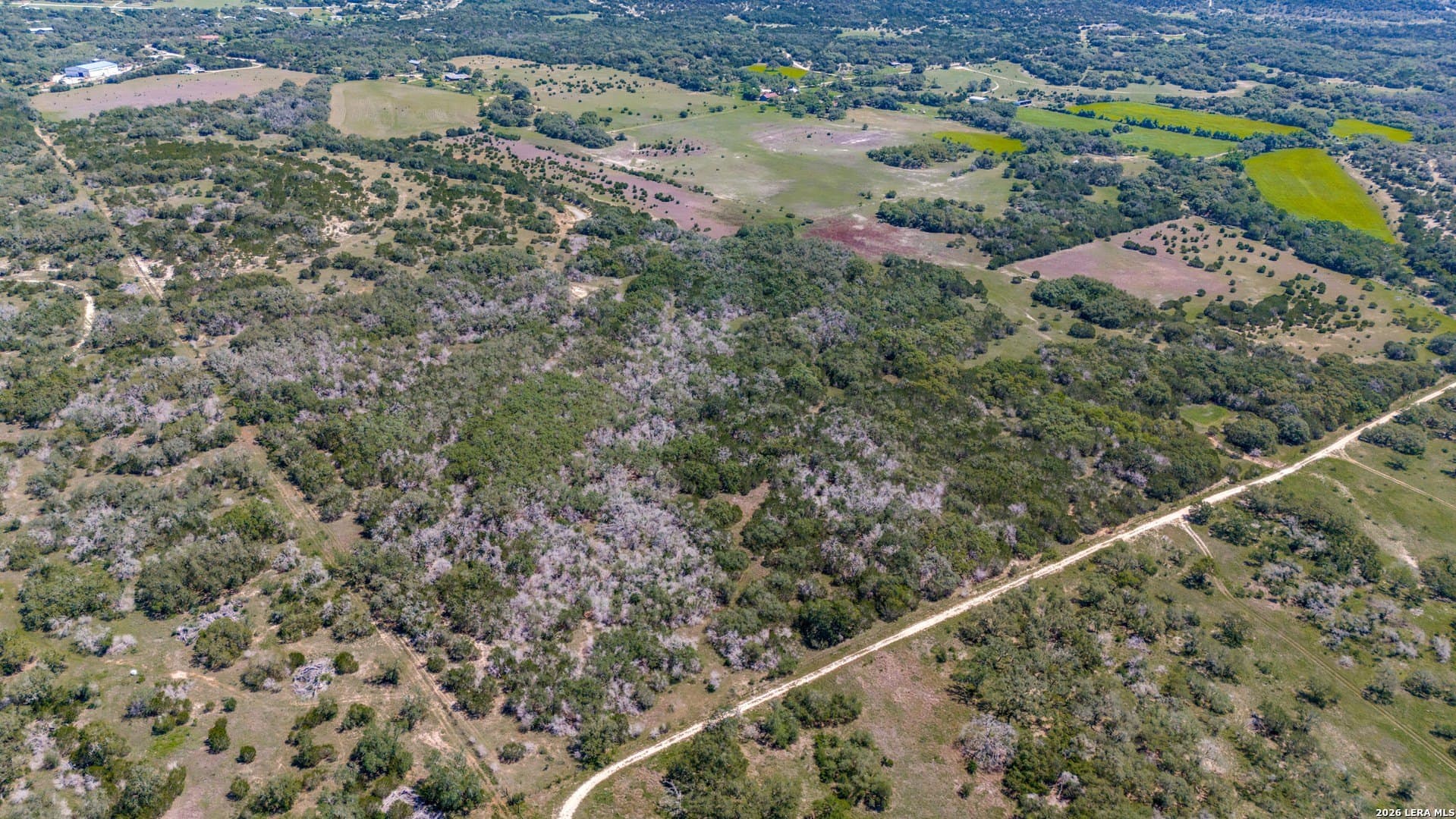 297 acres in Blanco County - photo 14