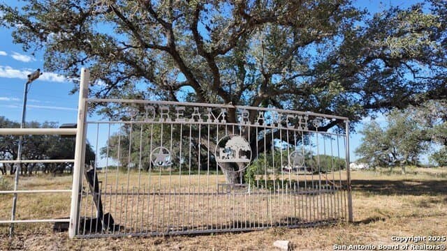 16 acres in Atascosa County gallery image 2