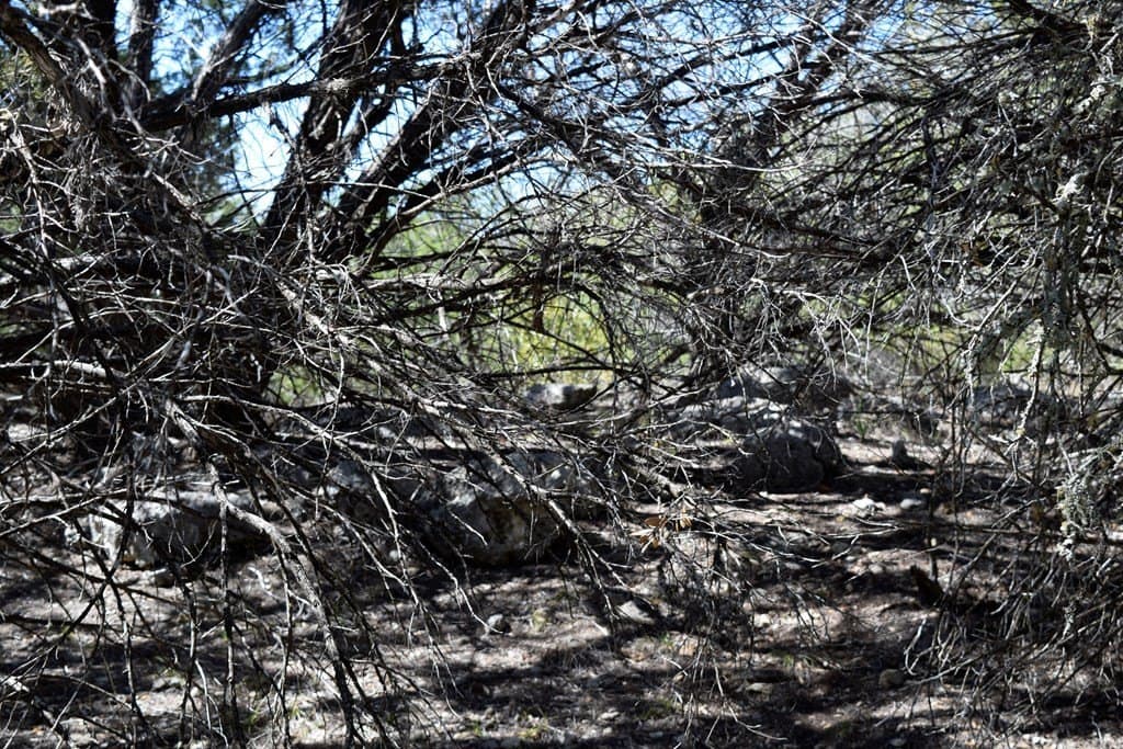 10 acres in Bandera County gallery image 4