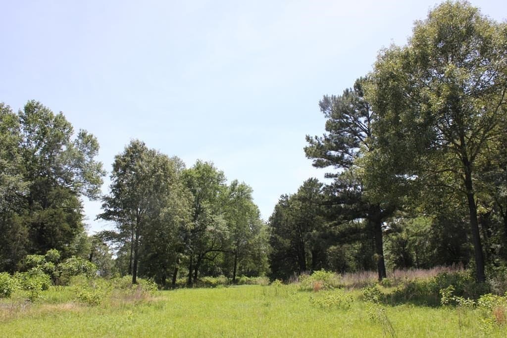 32.73 acres in Texas County featured view