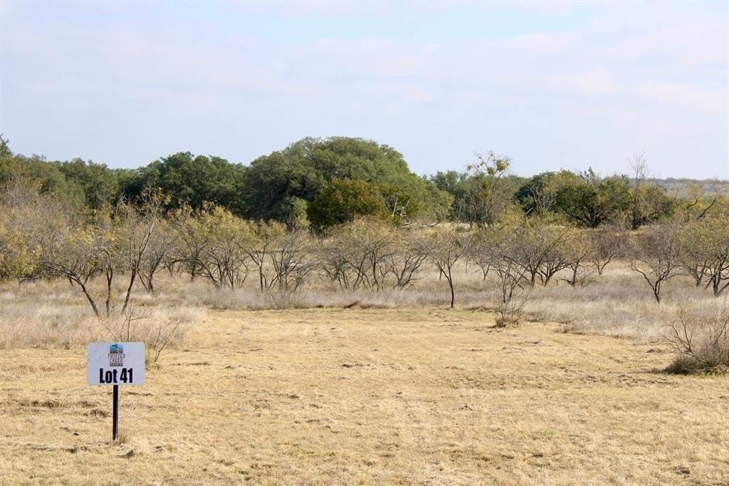 10.01 acres in Comanche County gallery image 3