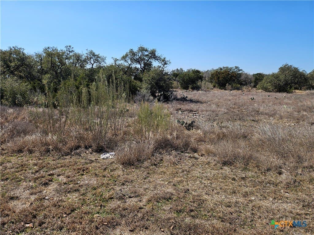 1 acres in Comal County gallery image 2