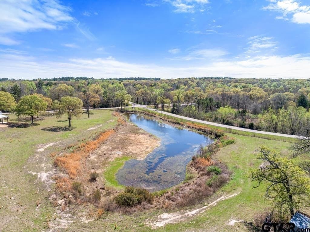 10.98 acres in Smith County - photo 41
