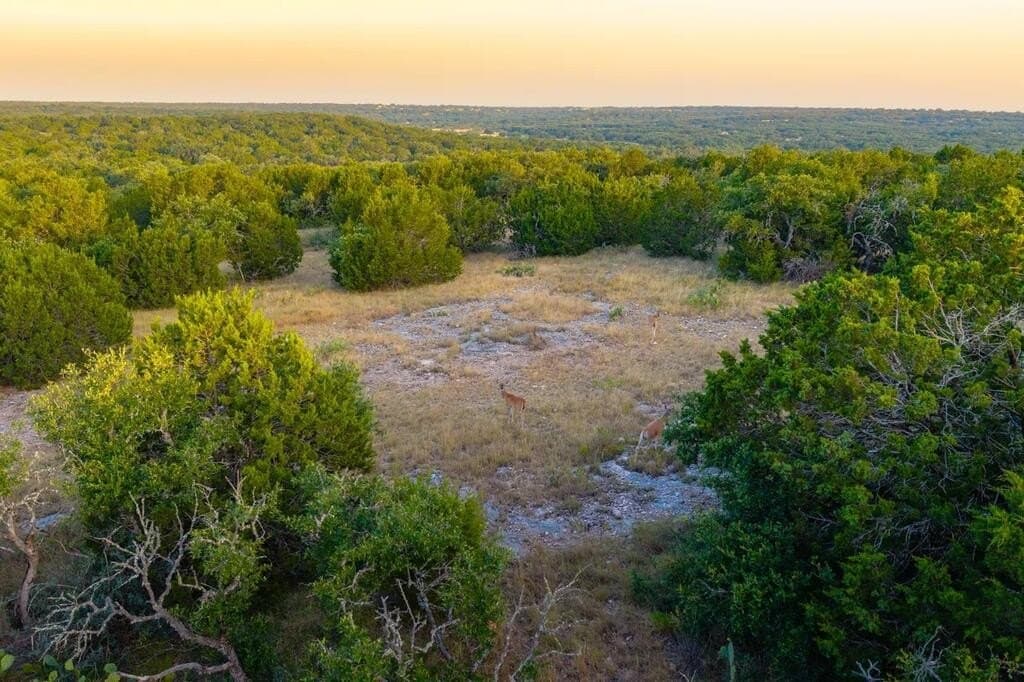 302 acres in Kimble County - photo 34