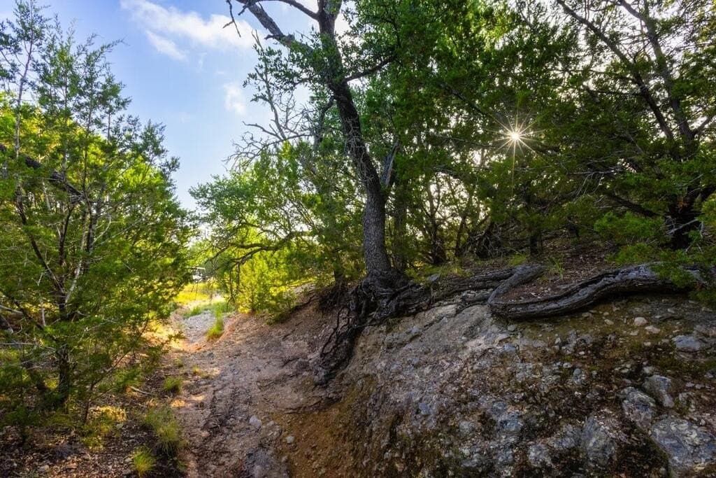 302 acres in Kimble County - photo 24