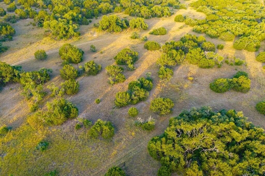 302 acres in Kimble County - photo 32