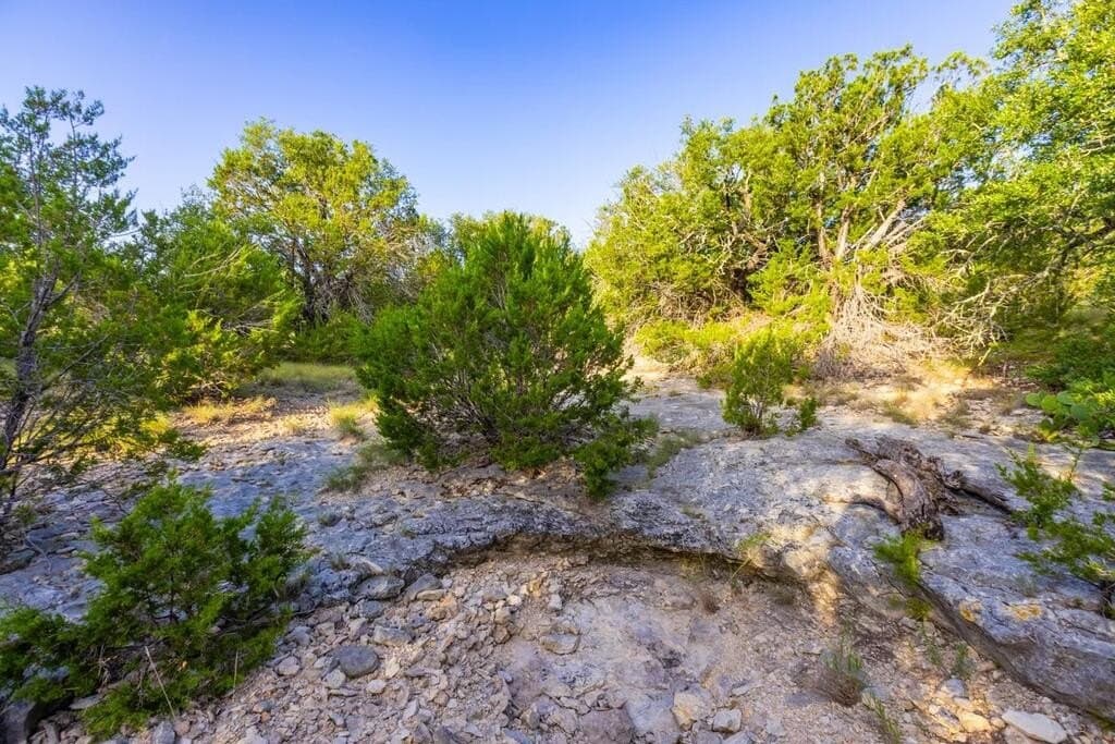 302 acres in Kimble County - photo 25