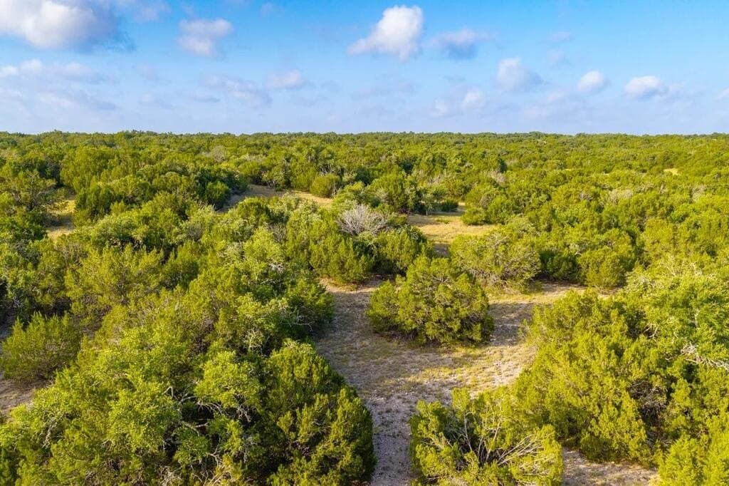302 acres in Kimble County - photo 23