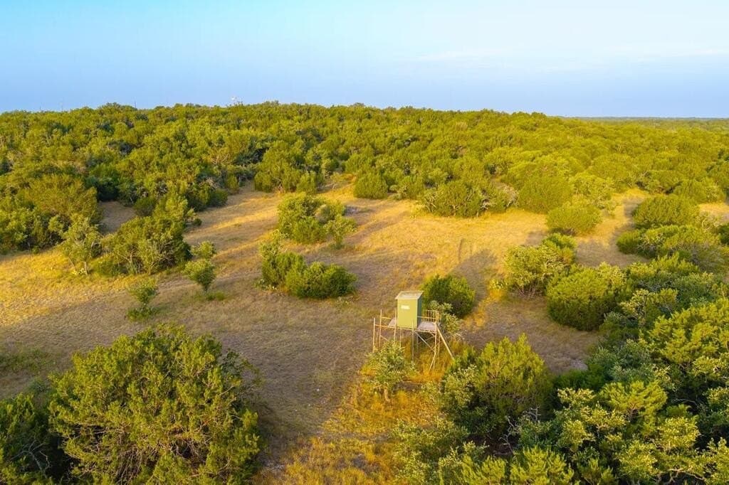 302 acres in Kimble County - photo 31