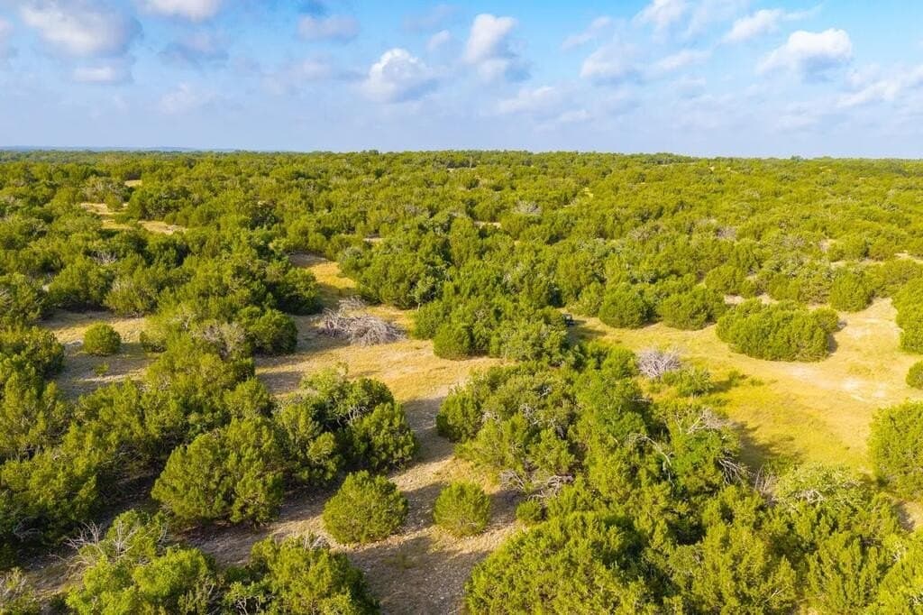 302 acres in Kimble County - photo 3