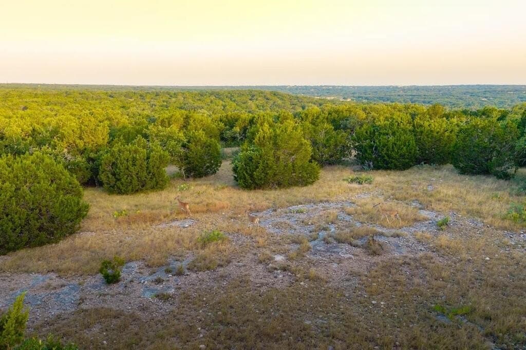 302 acres in Kimble County - photo 35