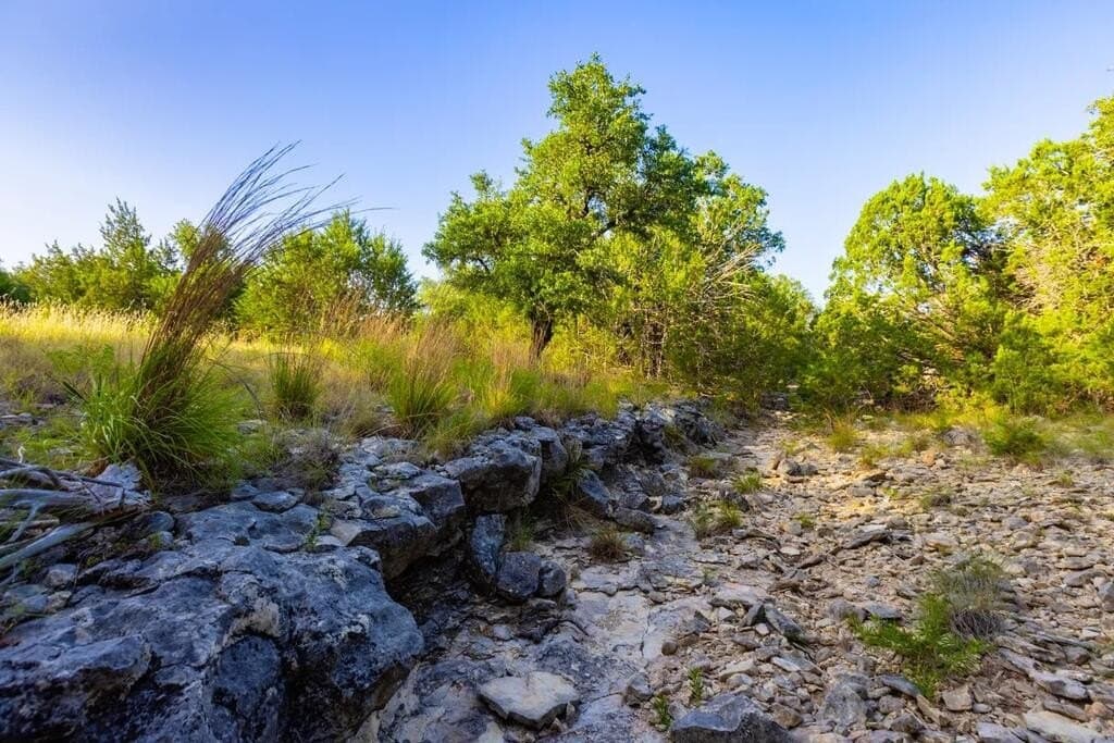 302 acres in Kimble County - photo 5
