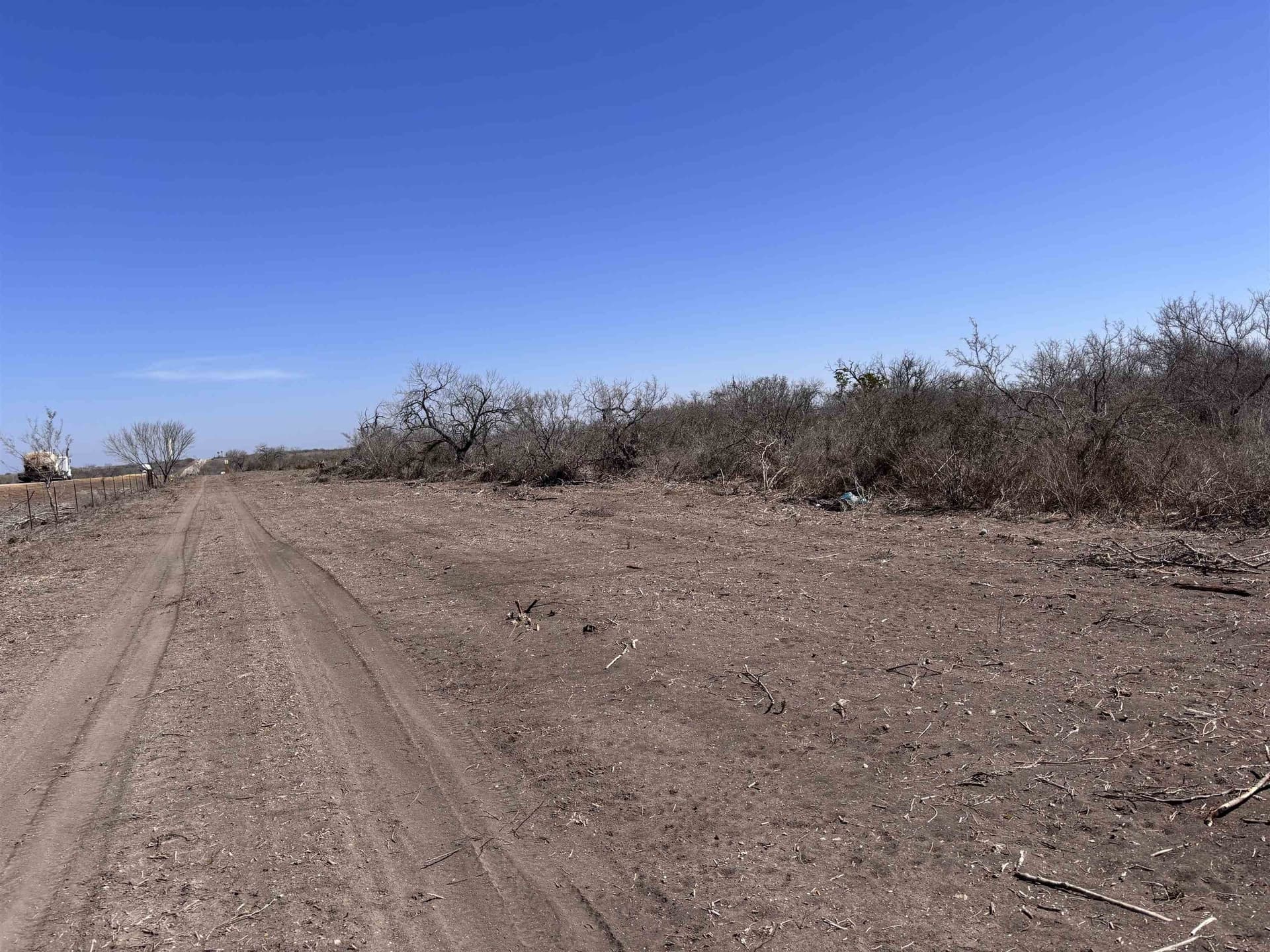 10.01 acres in Live Oak County gallery image 2