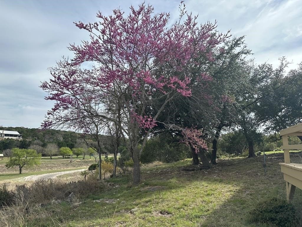 5.45 acres in Kerr County - photo 25