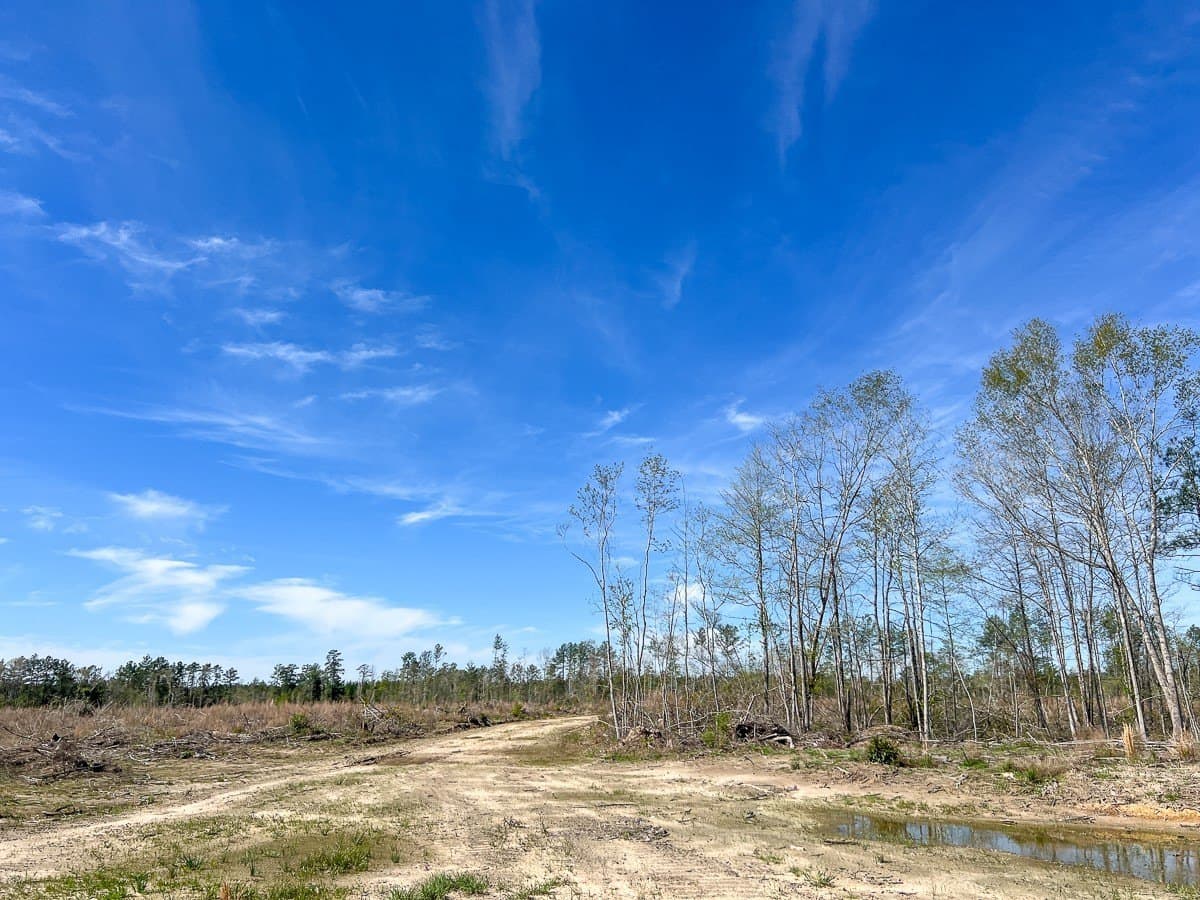143 acres in Jasper County - photo 7