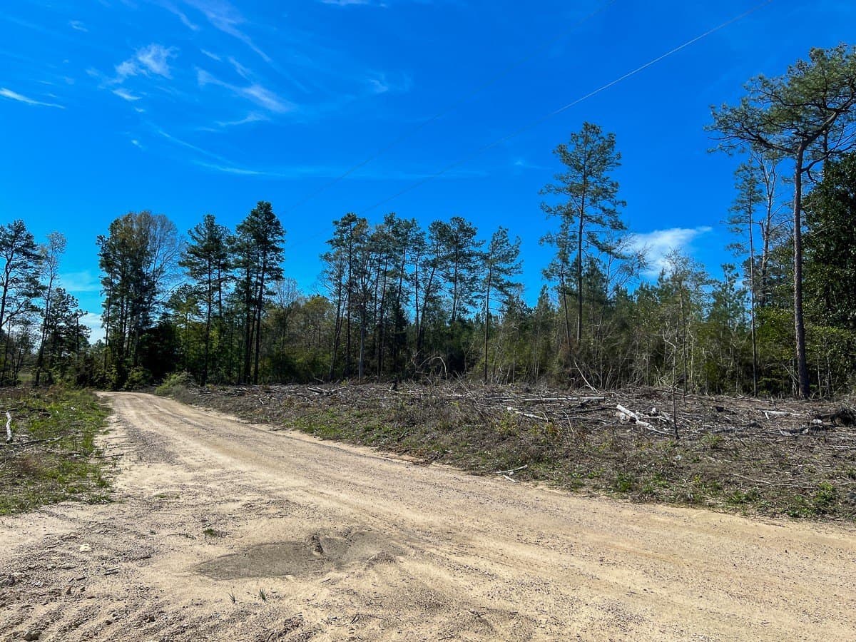 143 acres in Jasper County gallery image 3