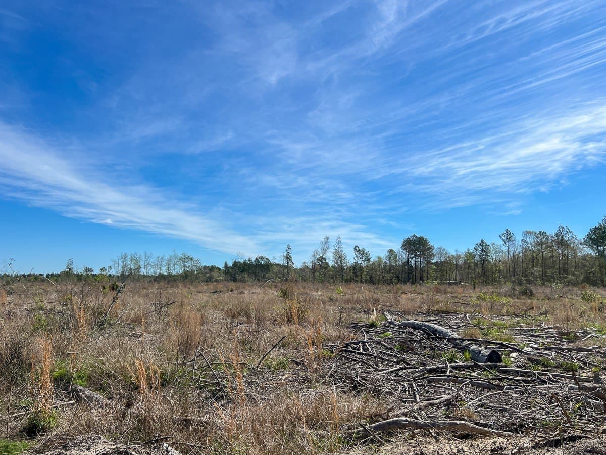 143 acres in Jasper County featured view