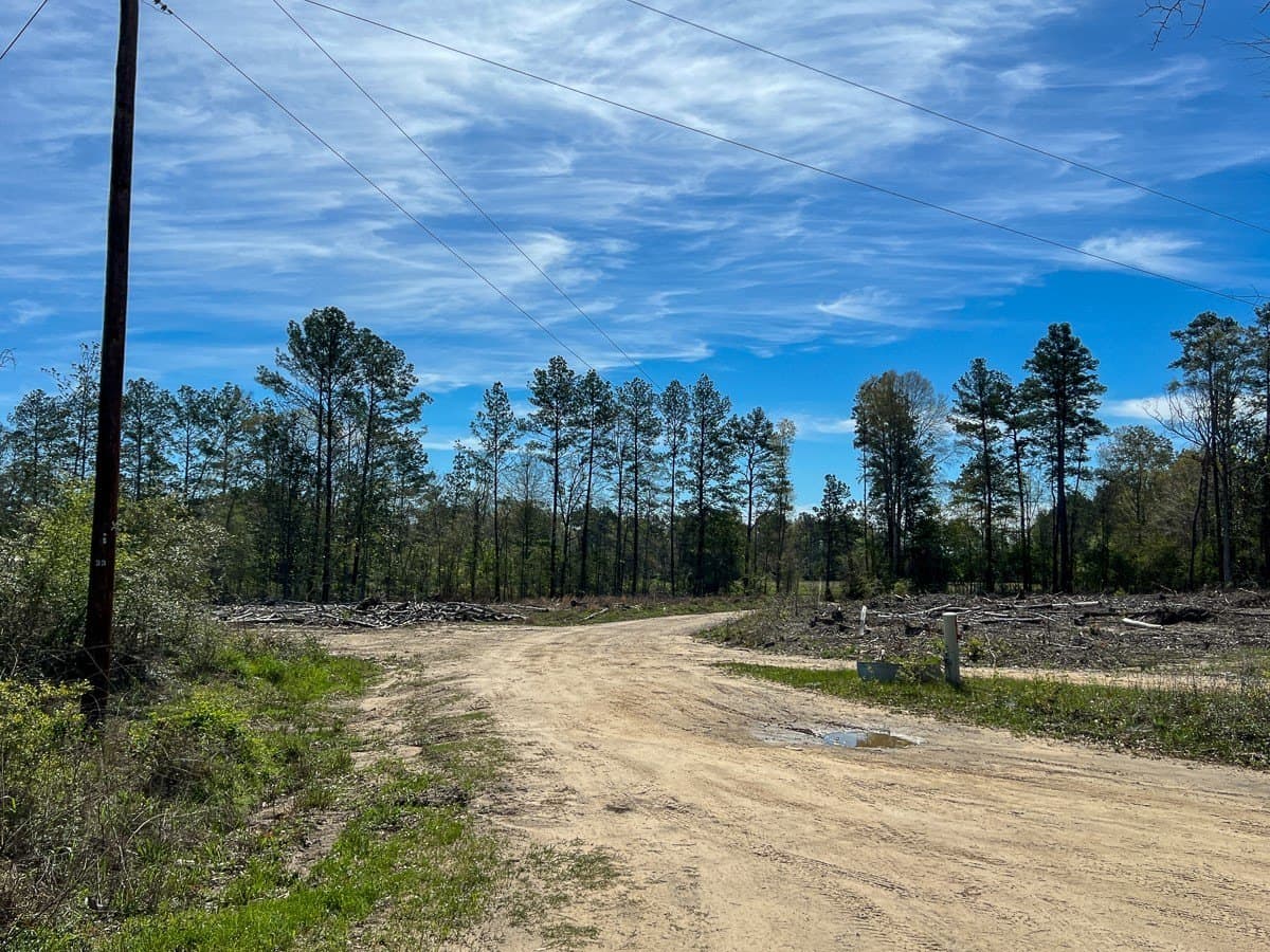 143 acres in Jasper County - photo 10