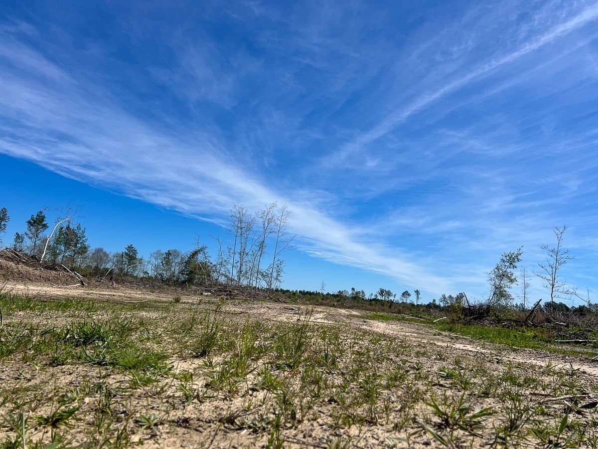 143 acres in Jasper County - photo 8