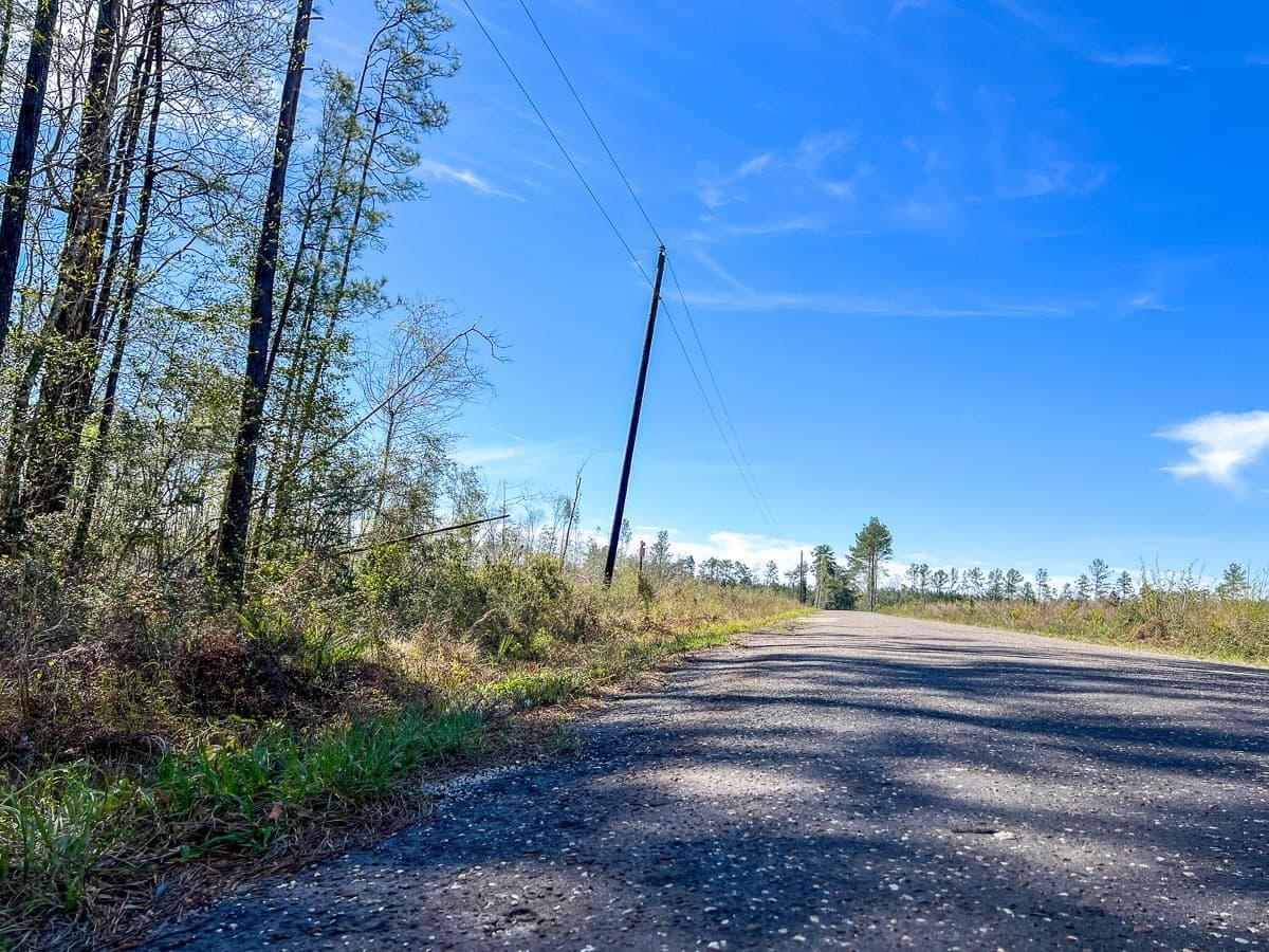 143 acres in Jasper County gallery image 2