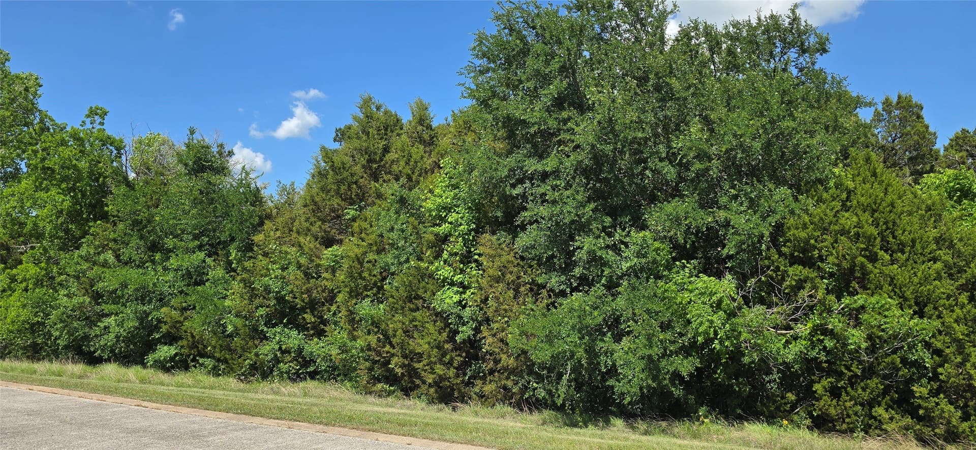 0.48 acres in Johnson County - photo 3
