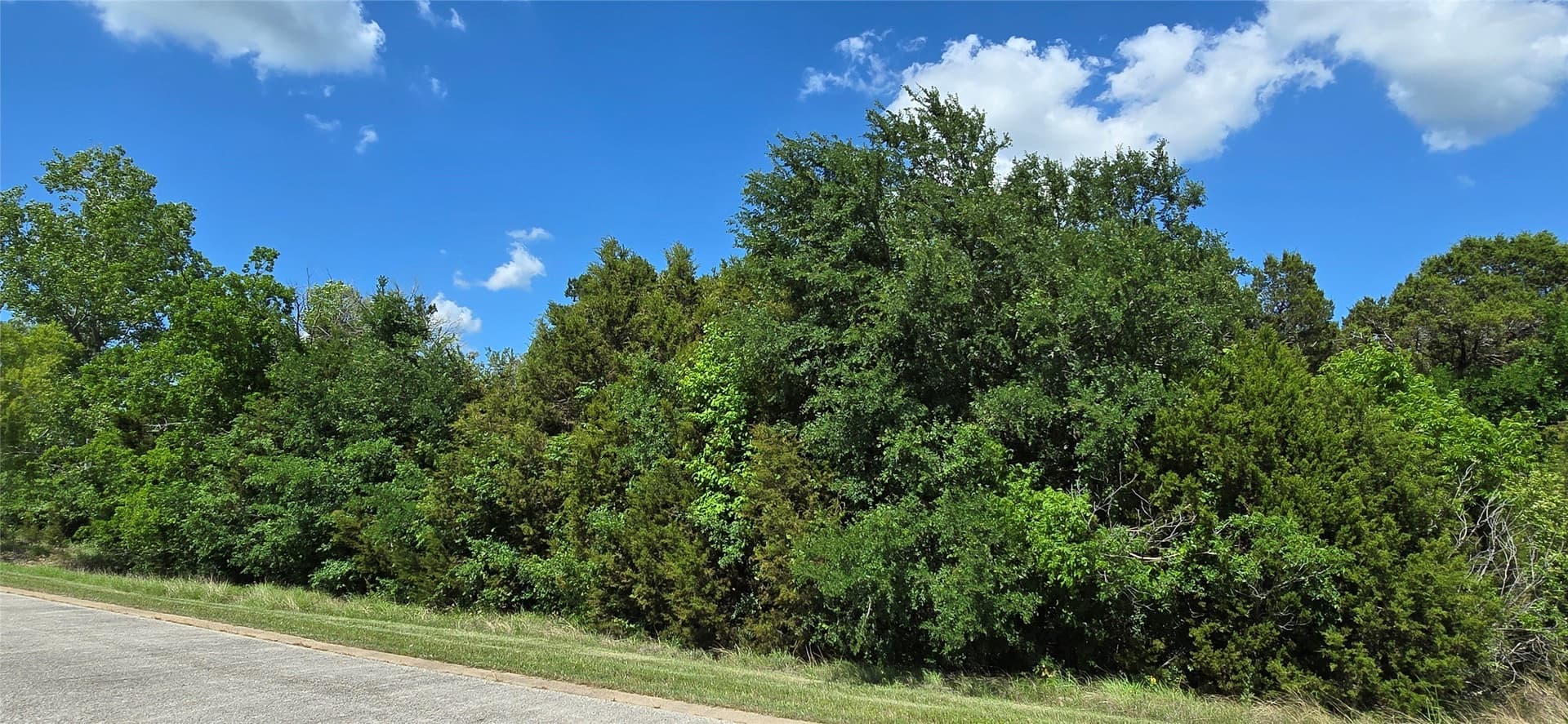 0.48 acres in Johnson County - photo 4