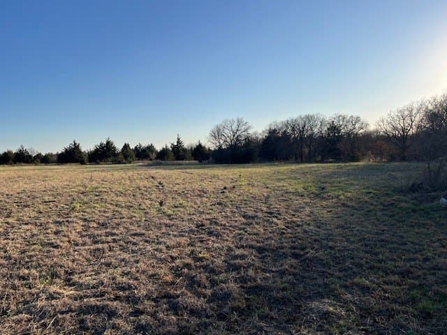 9.3 acres in Montague County - photo 7