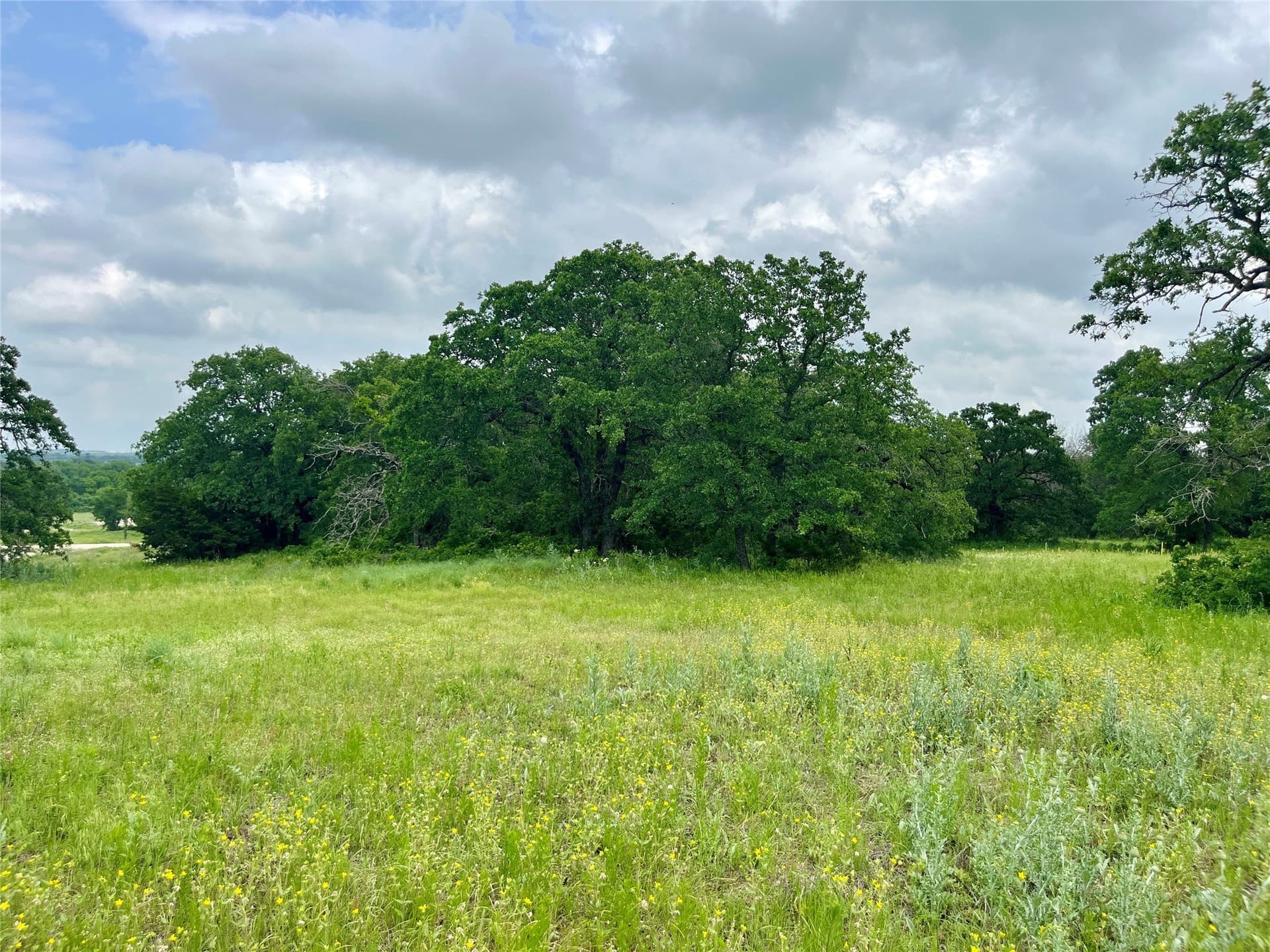 2.05 acres in Parker County - photo 3