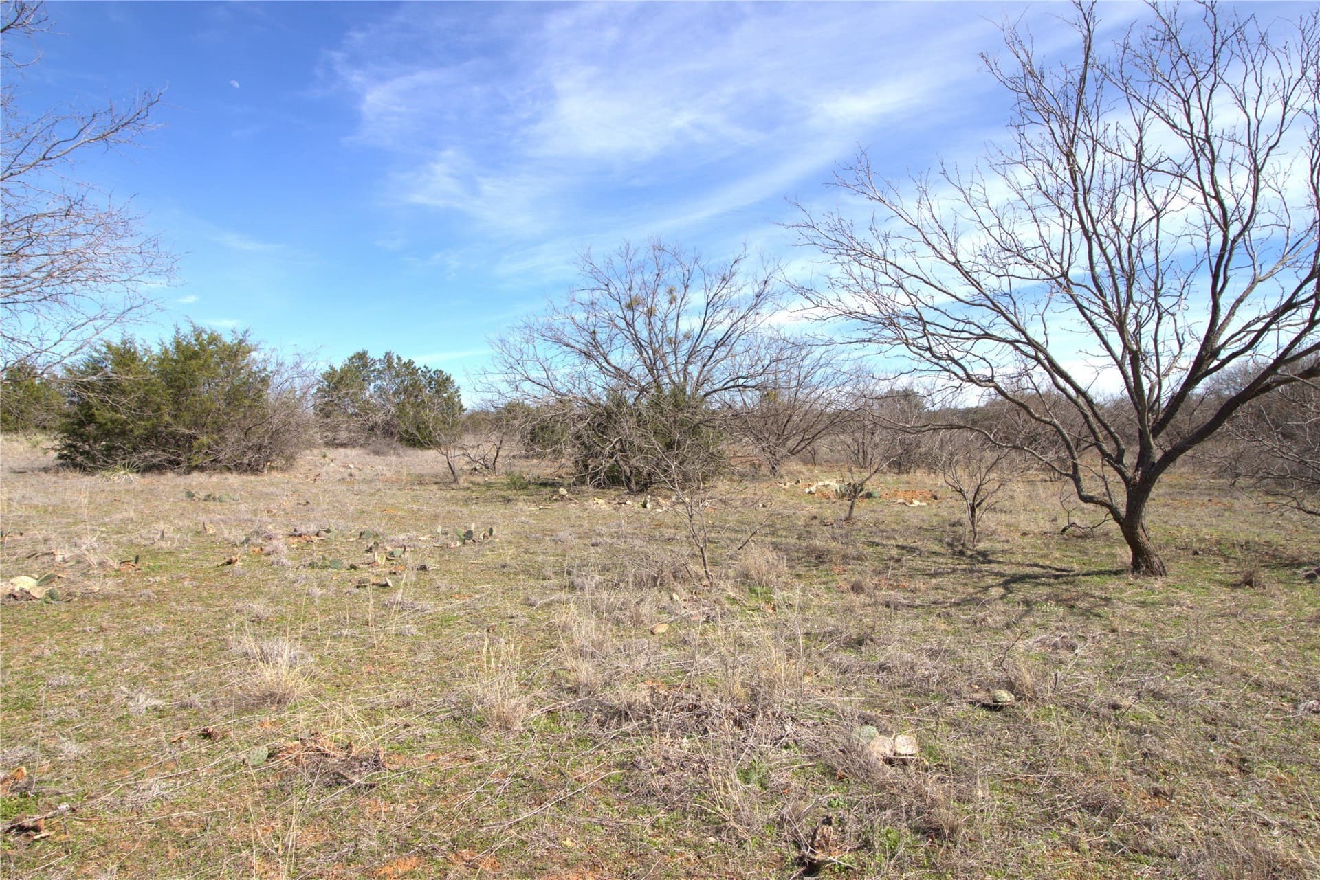 300 acres in Brown County - photo 30