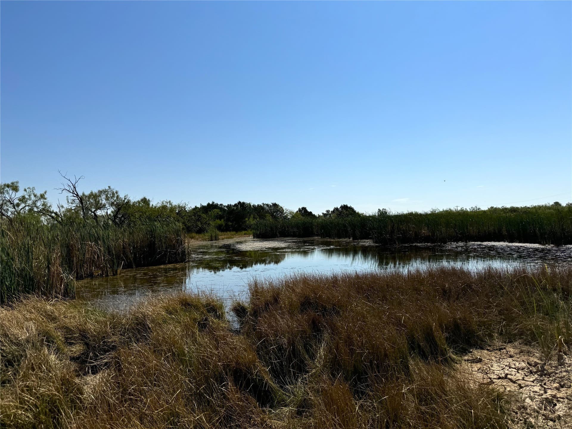 300 acres in Brown County - photo 25