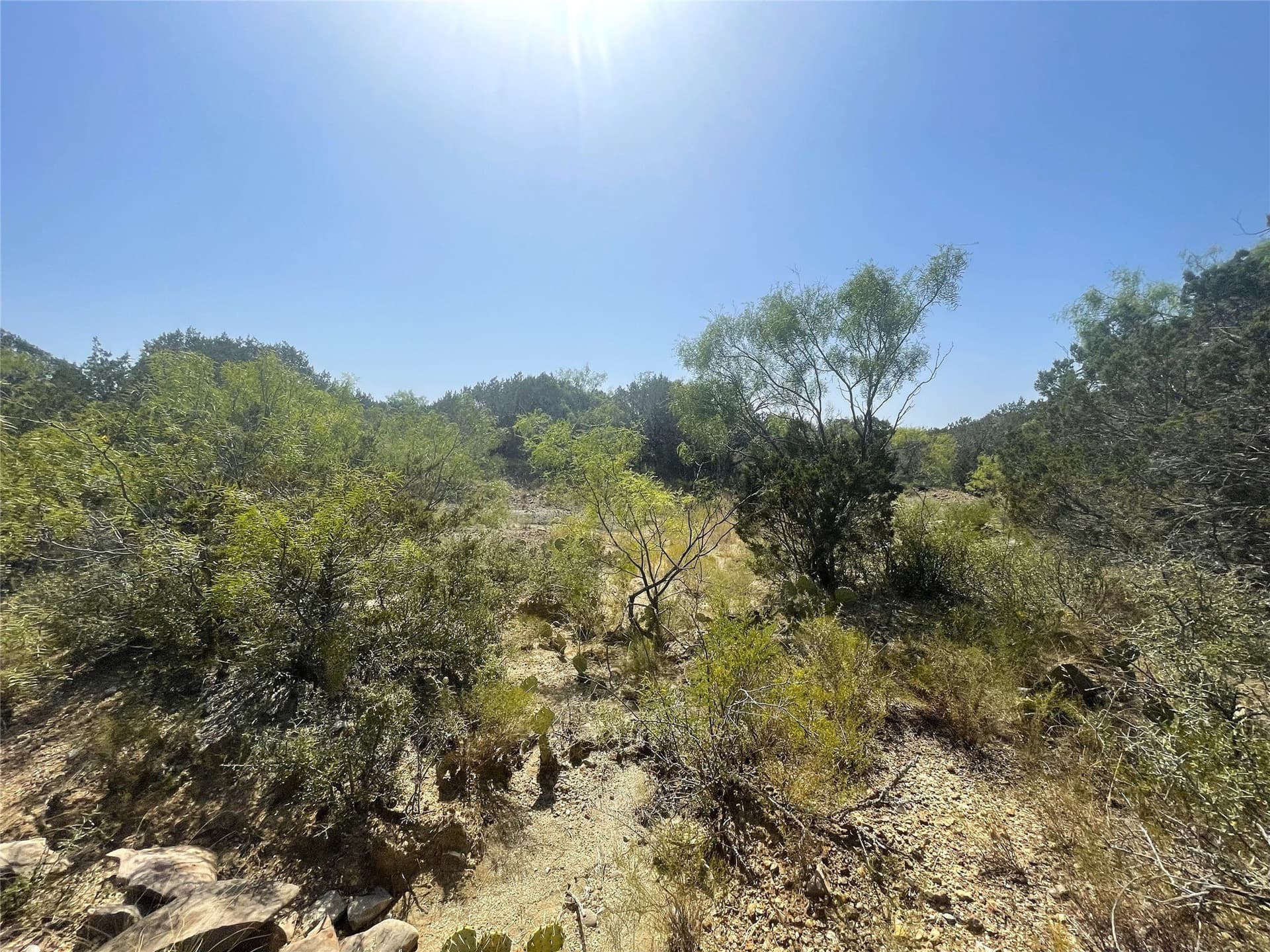 300 acres in Brown County gallery image 3